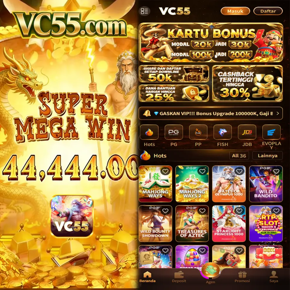 vc55 APK